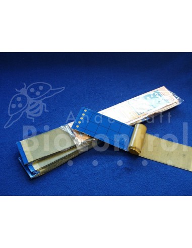 Bandes bleues