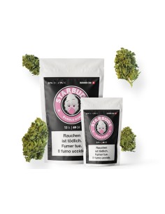 Starbuds Bubble Gum Indoor CBD 22% 12gr