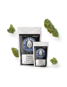 Starbuds Blueberry CBD 22% 12gr (Cannabis Légal)