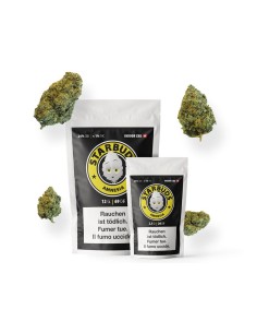 Starbuds Amnesia Indoor CBD 24% 3gr