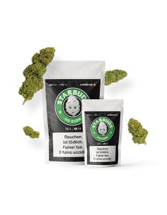 Starbuds OG Kush Greenhouse CBD 26% 2.5gr (legales Cannabis)