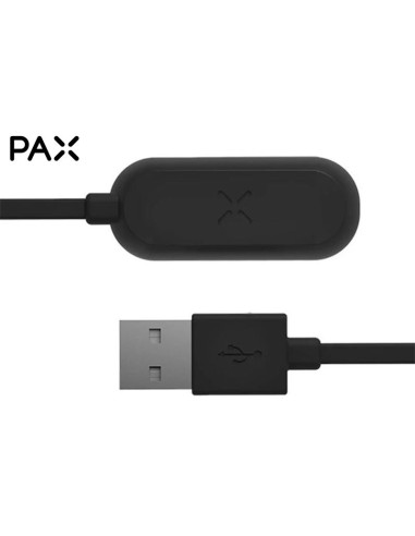 Mini Ladegerät Pax 2 + 3 und Plus Vaporizer