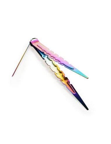 Pince à Charbon Azlan Rainbow Love 22cm