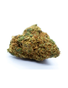 Red City Fraise Indoor CBD 4gr