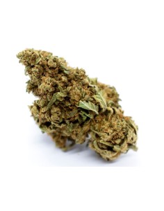 Red City Lemon Indoor CBD 4gr