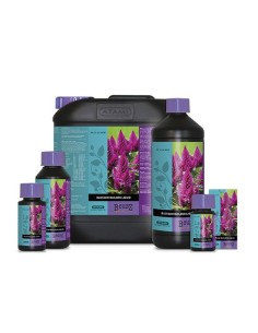 Bcuzz Blossom Builder Liquid PK 29-32