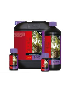 Coco Booster Universal Bcuzz Atami