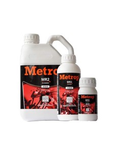 Metrop MR 2 (Blüte)