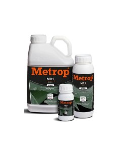 Metrop MR 1 (Wachstum)