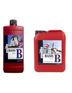 Mills Basis B