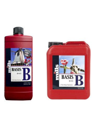 Mills Basis B