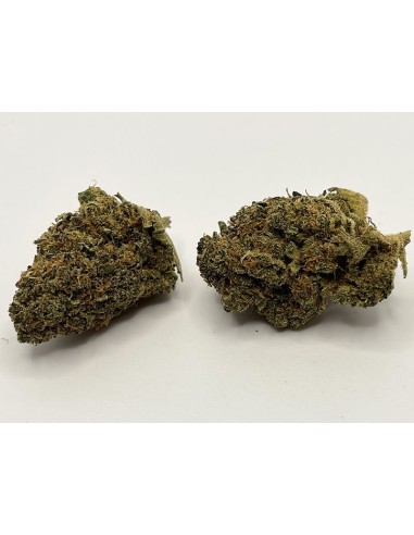 Red City Mango Haze Indoor Limited Edition 5gr