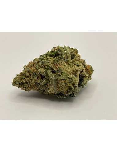 Red City Jack Frost Indoor (Special Edition) 4gr
