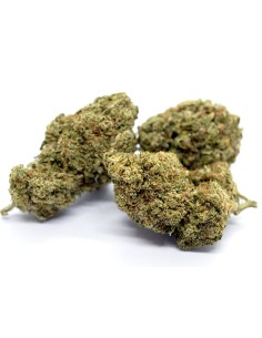 Red City Critical Indoor CBD 4gr