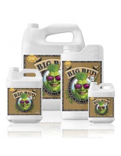 Advanced Nutrients Big Bud Coco