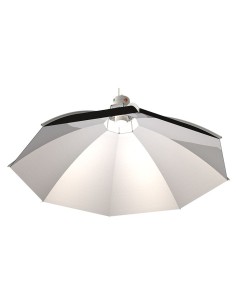 Réflecteur Daisy 60cm