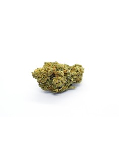 Red City Bubble Gum 4g