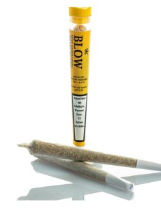 Joint Blow Sweet Haze...
