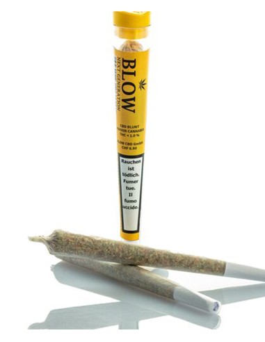 Joint Blow Sweet Haze Yellow 1pce