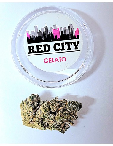 Red City Gelato Indoor CBD 5gr