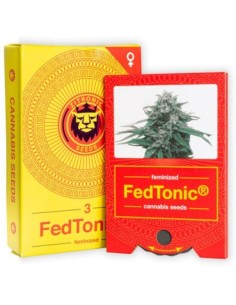 JYM's Fedtonic CBD...
