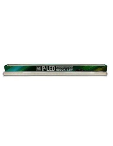 Pure LED P-LED V2.0 42W Croissance 6500K