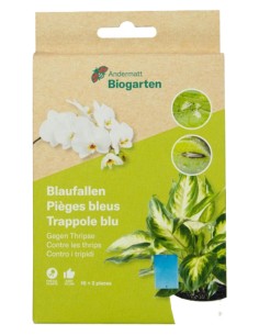 Pièges Bleus Englués...