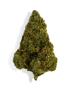 CannaGold Mandarina 5g Millésime Selection
