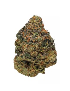 CannaGold Black Cherry Pie 5g Millésime Sélection