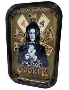 Metall Mischbrett Girl Scout Cookies 29x19cm