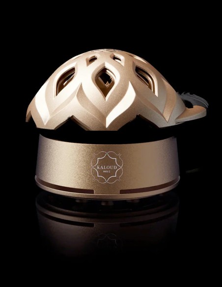 Kaloud Lotus 1+3 Auris (Gold)