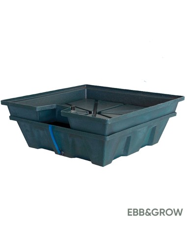 Terra Aquatica EBB & Grow 32 plantes