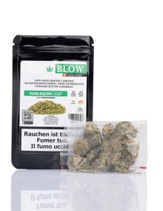 Blow Minibuds Harlequin Green 5g