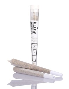 Joint Blow White Diesel 1pce