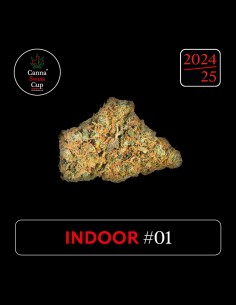 CannaSwissCup indoor 1