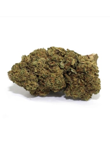 CannaGold Blue Cheese 3g CBD Indoor