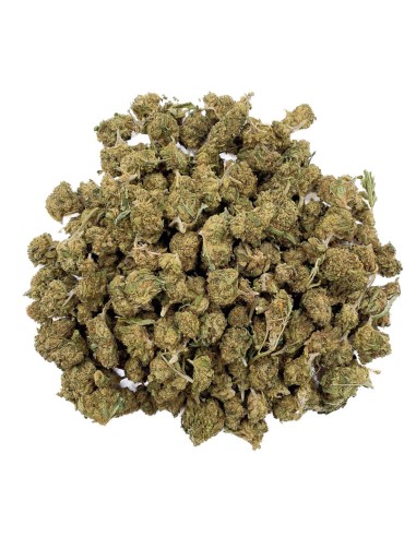 Kaya Mini Buds CBD Lemon Haze 50gr (Cannabis Légal)