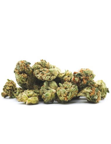 Kaya Mini Buds CBD Caramel 25gr (Cannabis Légal)