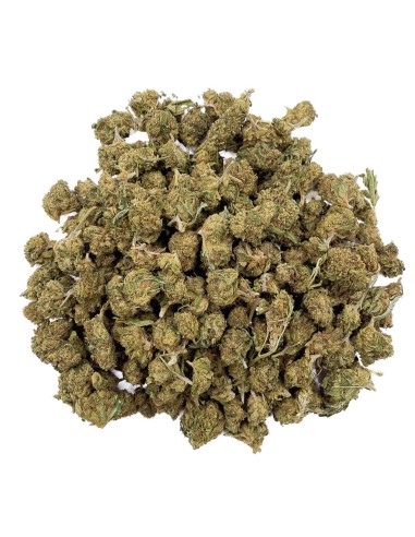 Kaya Mini Buds CBD Lemon 50gr (Hanf Legal)