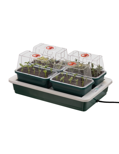 Set Heizpropagator 38,5 x 24 x 15,5 cm