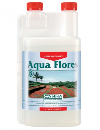 Canna Aqua Flores B