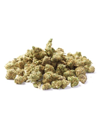 Kaya Mini Buds CBD Blueberry Cupcake 50gr (Cannabis Légal) Kaya Mini Buds CBD Blueberry Cupcake 50gr (Cannabis Légal)