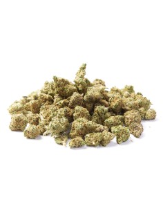 Kaya Mini Buds CBD Blueberry Cupcake 25gr (Cannabis Légal)
