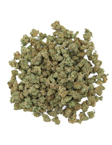 Kaya Mini Buds CBD Amnesia 25gr (Hanf Legal) Kaya Mini Buds CBD Amnesia 25gr (Hanf Legal)