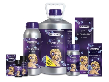 Bloombastic Atami