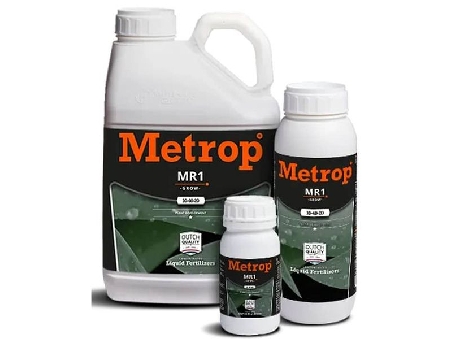 Metrop MR 1 (Croissance)