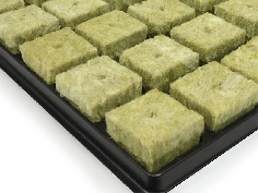 77 cubes de laine de roche sur plateau