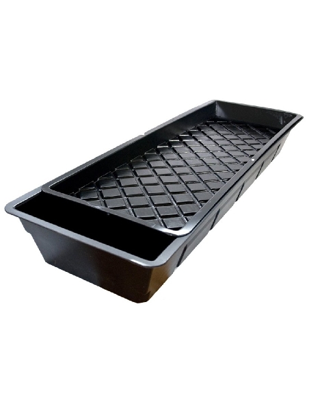 Nutriculture NFT GT 901