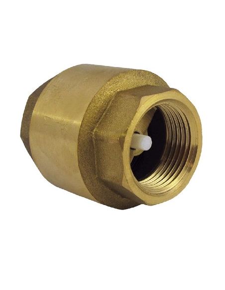 Clapet Anti-Retour 1"