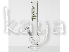 Bongh Green Plant Logo